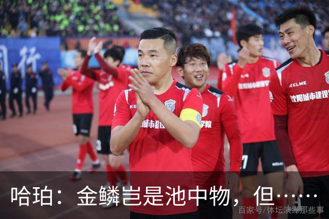 哈珀：金鳞岂是池中物，但……